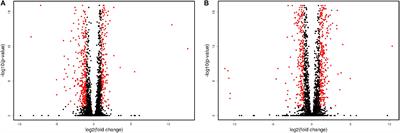 Transcriptome Profile of Yeast Strain Used for Biological Wine Aging Revealed Dynamic Changes of Gene Expression in Course of Flor Development